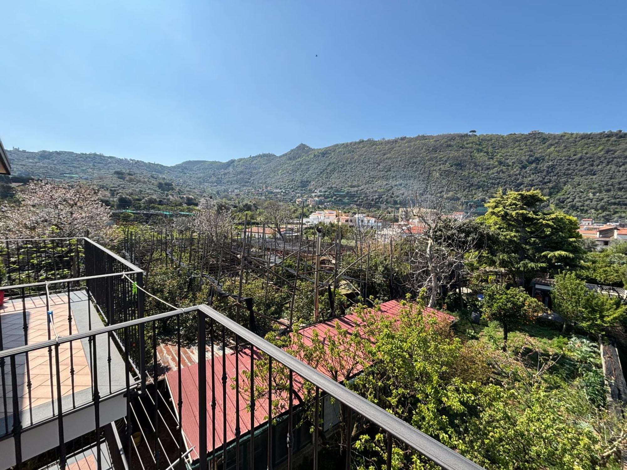 Intero Appartamento A Sant'Agnello , Le Ortensie Kültér fotó