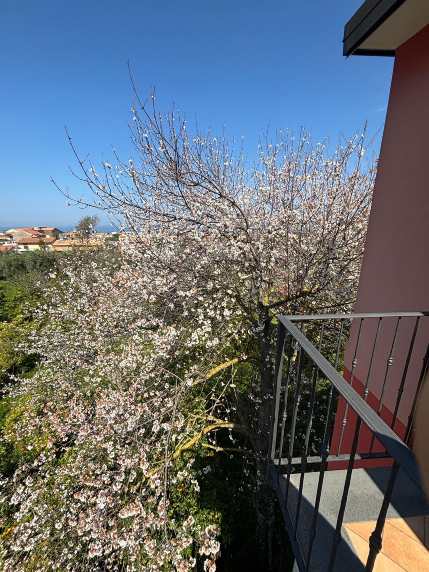 Intero Appartamento A Sant'Agnello , Le Ortensie Kültér fotó